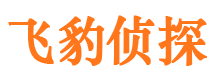 卢氏市侦探调查公司